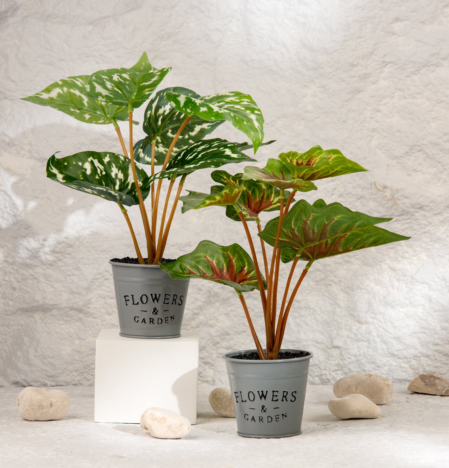 flower pot