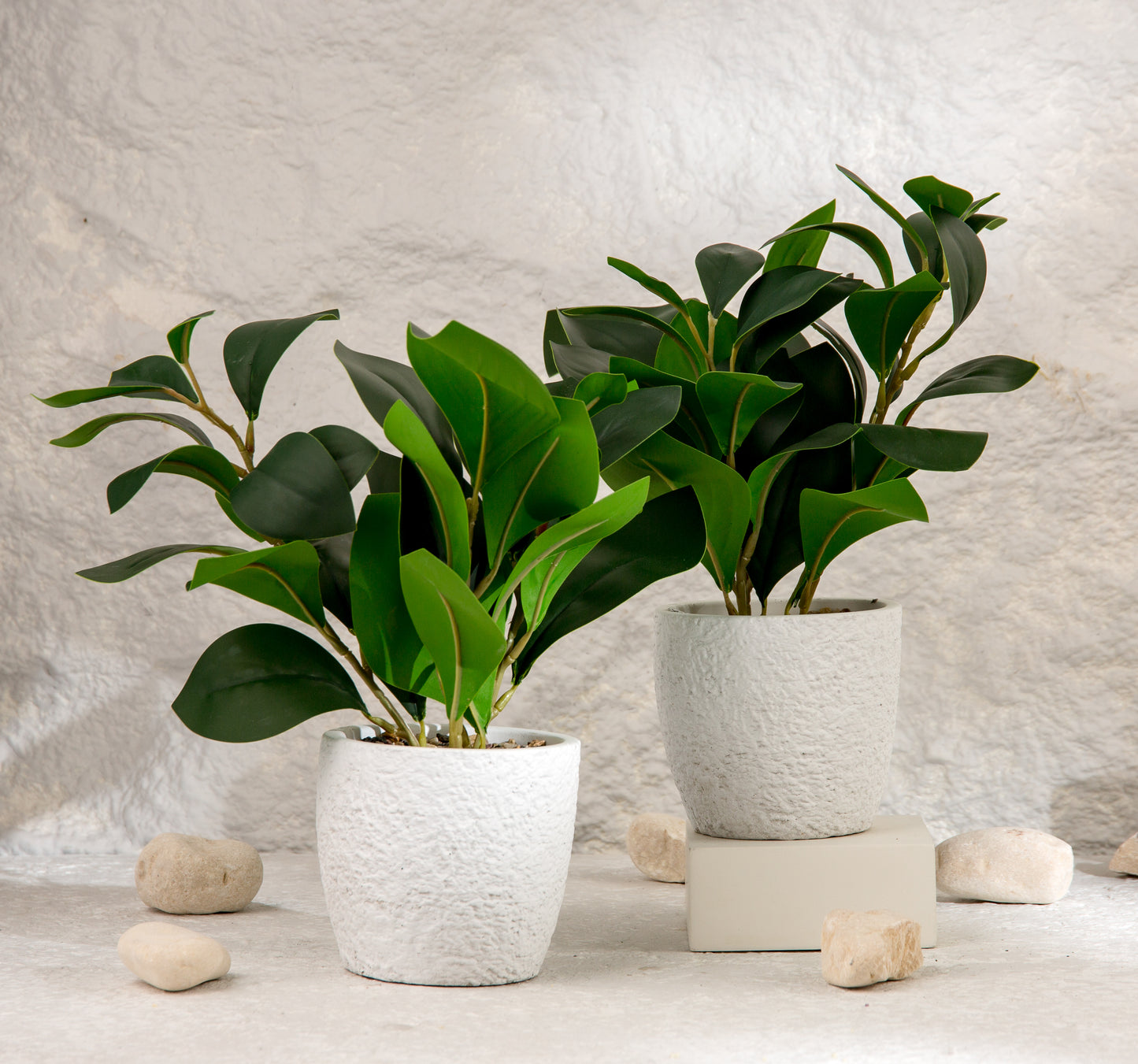 flower pot