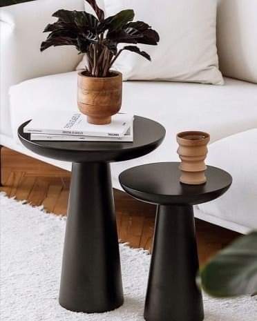 Black Mushroom Coffee & Side Table