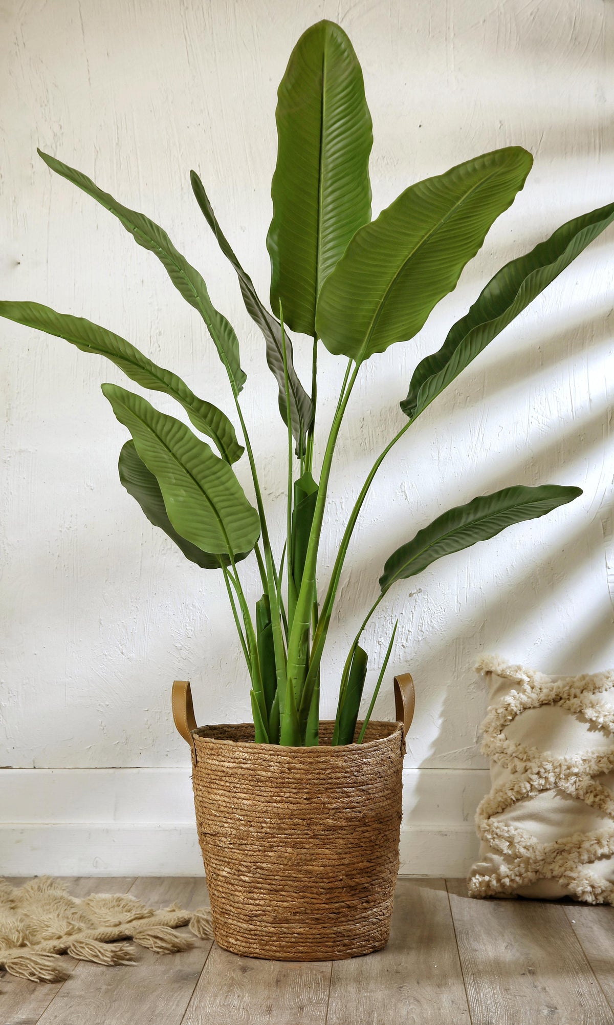 Woven wicker bot with banana tree – artelia