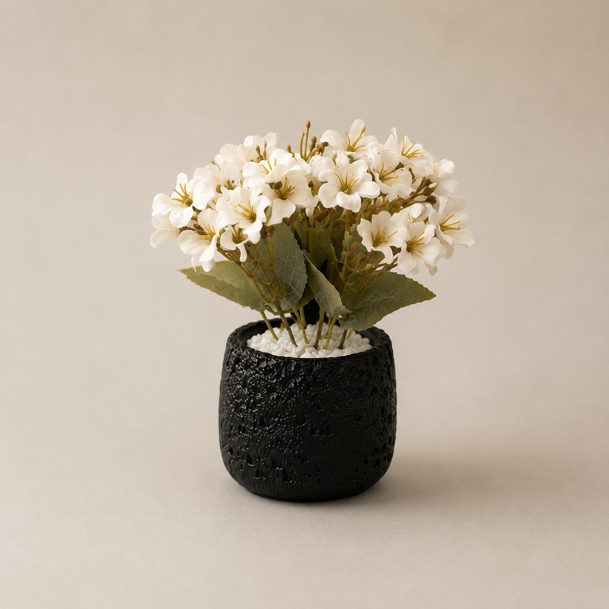 Rocky Pot