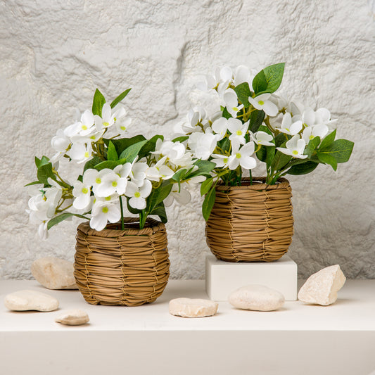 Woven Flower Pot