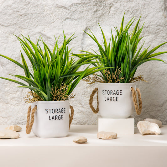 the Elegant  Pot
