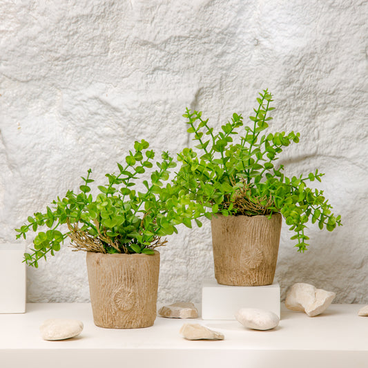 Wooden flower Pot