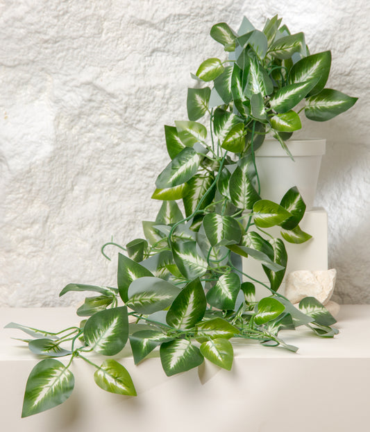 Plant Waterfall Pot