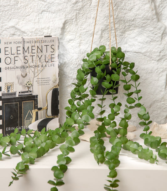 Plant Waterfall Pot