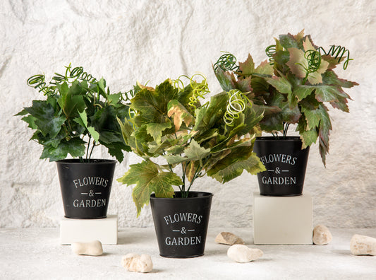 flower pot