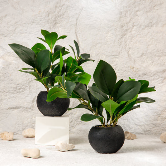 flower pot