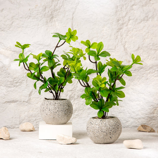flower pot