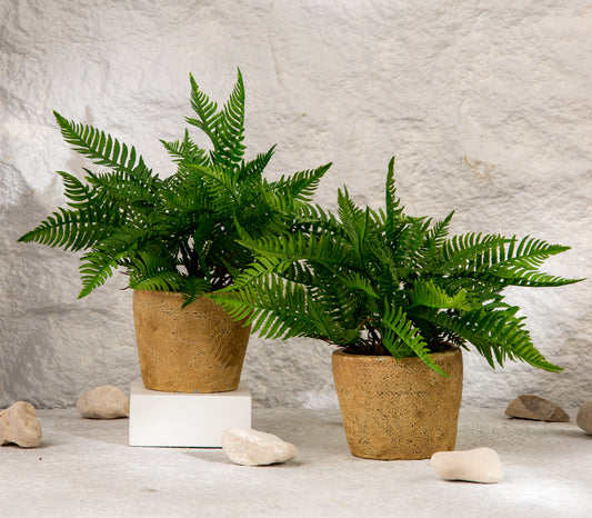 flower pot