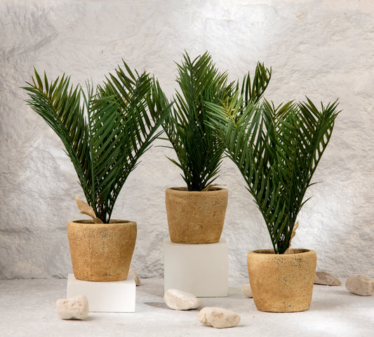 flower pot