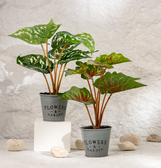 flower pot