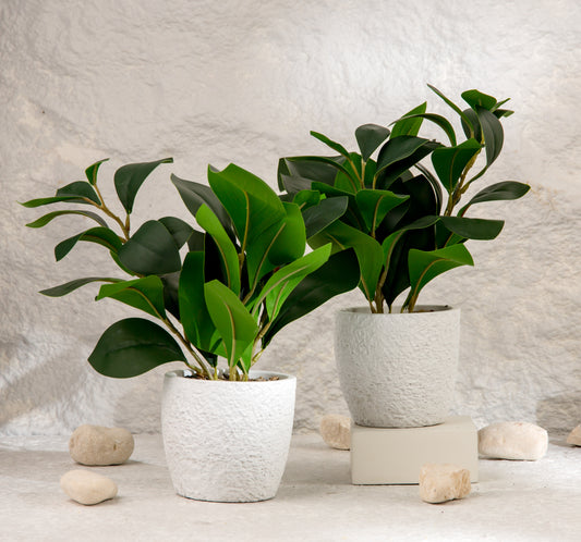 flower pot