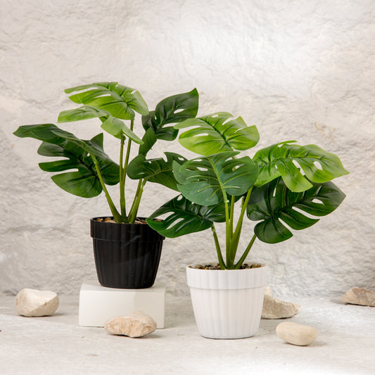 flower pot