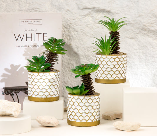 Patterned flower pot