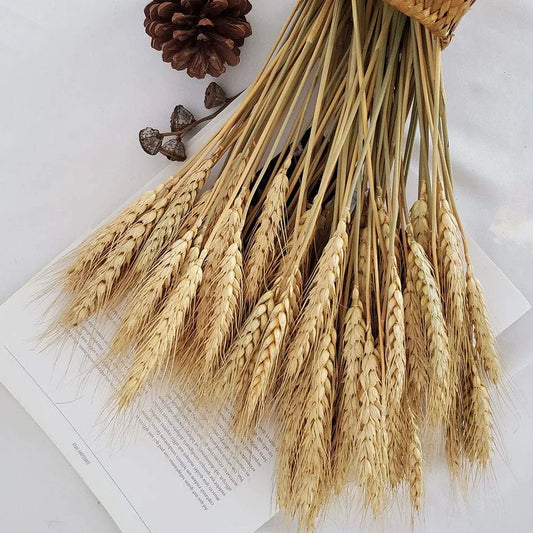 Natural dry Wheat Decoration Grass small bundle
