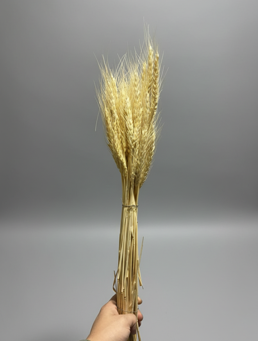 Natural dry Wheat Decoration Grass small bundle