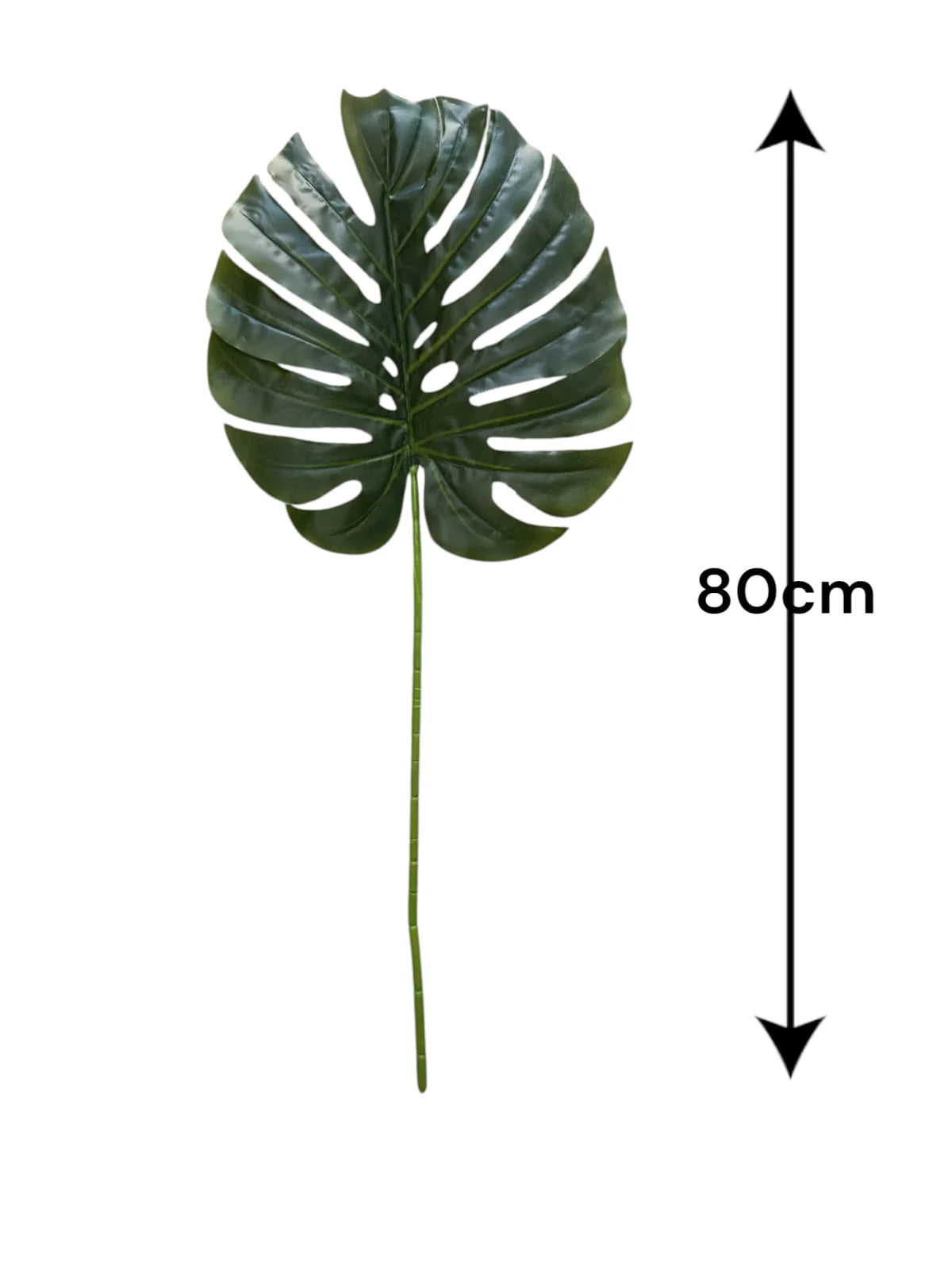 Single MONSTERA Leaf floral