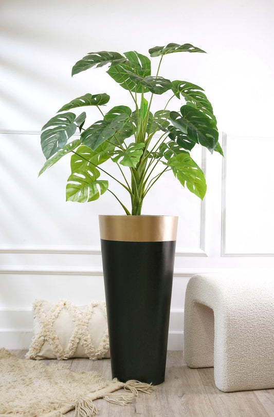 Cono stand wood